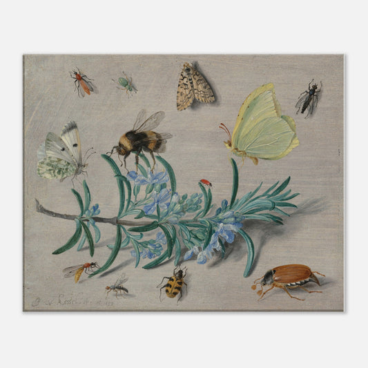 de3223d0-8fe2-4934-94df-2d081fef306f